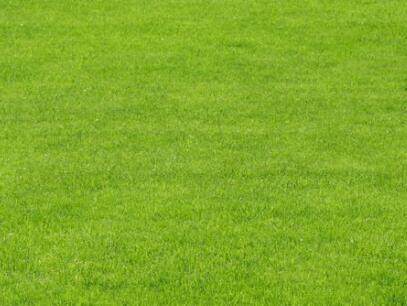 “必一·体育”《西部世界》编剧加盟《最后的生还者2》剧情设计(图2) 必一·体育