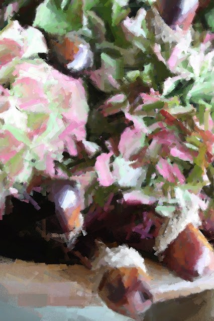 《莱莎炼金工房》登陆NS的挑战 按键颜色一样让人为难“B-Sports”(图2) 必一·体育