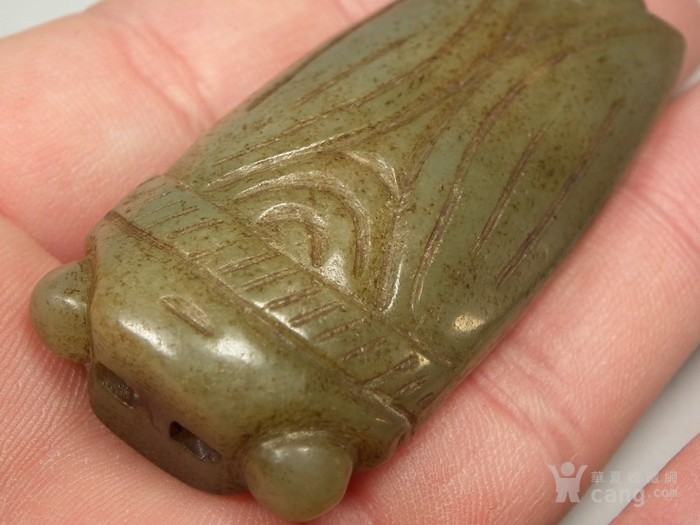 TPP是什么意思TPP协议成员国？九个问题看懂TPP|B-Sports(图2)