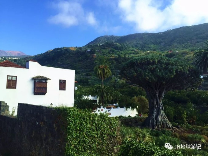 “营改增”后中小型物流生存艰难-必一运动(图4) “营改增”后中小型物流生存艰难-必一运动(图4)