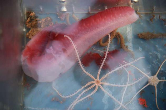 《守望先锋》黑影今日正式降临国服 开放新赛季新地图【B-Sports】(图1)