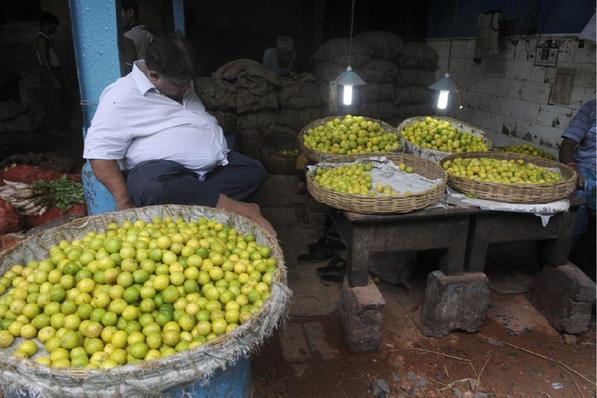 【必一·体育】澳大利亚为前总理弗雷泽举行国葬 总理等600多官员出席(图3)