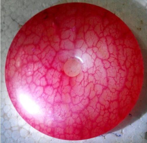 《美女与野兽》官方手办发布 这不是穿着女装的JB吗?‘必一·体育’(图3) bsports必一运动